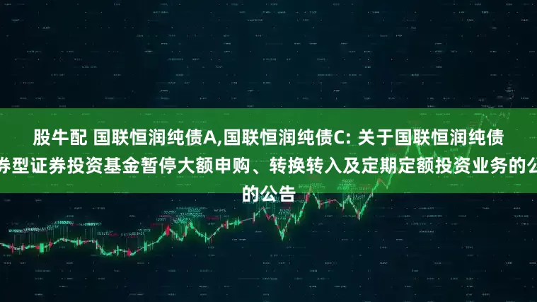 股牛配 国联恒润纯债A,国联恒润纯债C: 关于国联恒润纯债债券型证券投资基金暂停大额申购、转换转入及定期定额投资业务的公告