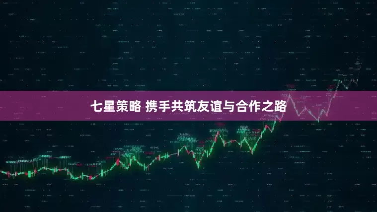 七星策略 携手共筑友谊与合作之路