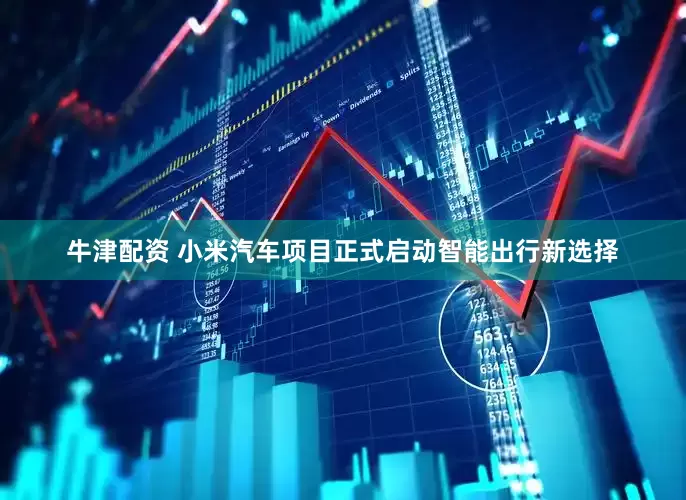 牛津配资 小米汽车项目正式启动智能出行新选择